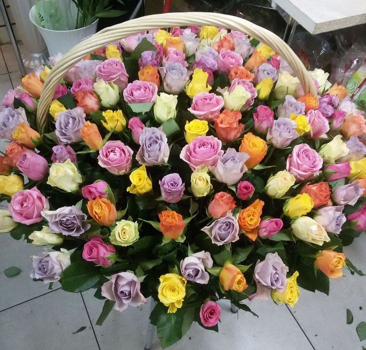 101 роза в корзине ,Кения, 40см